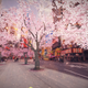 Image for article titled Make cherry blossom trees magically appear in your neighborhood